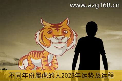 虎年 2023|属虎2023年运势及运程详解 2023年属虎人的全年每月运势